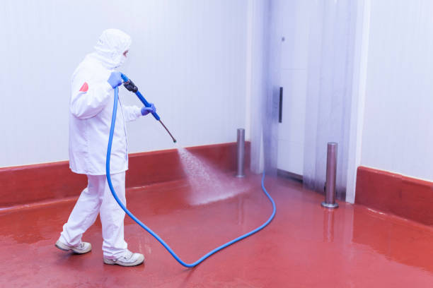 Best Spring Cleaning  in Perryville, MD